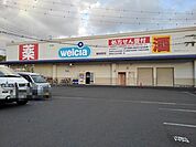 【ドラッグストア】ウエルシア　茶町店まで750ｍ