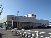【スーパー】フィール岡崎柱町店まで600ｍ