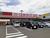 【ドラッグストア】ひまわり御幸店まで1100ｍ