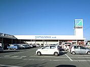 【スーパー】ヤマザワ上山店まで800ｍ