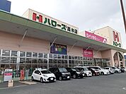 【スーパー】ハローズ高木店まで750ｍ