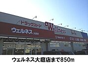【ドラッグストア】ウェルネス大庭店まで850ｍ