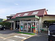 【その他】大阪屋さんまで1900ｍ