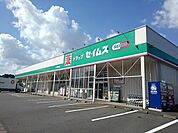 【ドラッグストア】セイムス　寒田店まで550ｍ