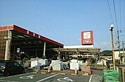 【ホームセンター】いない大田店まで950ｍ