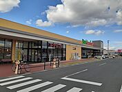 【スーパー】ヨークベニマル古川店まで1600ｍ