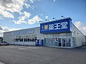 【ドラッグストア】薬王堂　丸森館矢間店まで1100ｍ