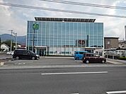 【銀行】伊予銀行中萩支店まで1000ｍ