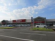 【スーパー】ベイシア茂原店まで700ｍ