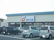 【ドラッグストア】カワチまで1300ｍ