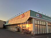 【ドラッグストア】ドラッグセイムス茂原西店まで650ｍ