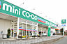 周辺：【スーパー】ミニコープ蔵波店まで500ｍ