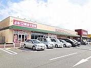 【スーパー】カスミ　　　　　　龍ヶ崎中里店まで2700ｍ