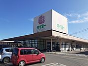 【スーパー】タイヨー 八街店まで3500ｍ