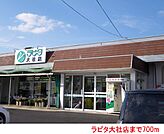 【スーパー】ラピタ大社店まで700ｍ
