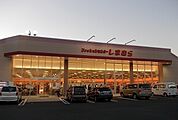 しまむら栢山店まで1100ｍ