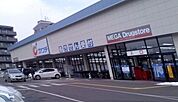 【ドラッグストア】カワシ薬品福島東店まで1300ｍ