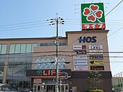 【スーパー】ライフ八戸ノ里店様まで556ｍ