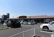 【スーパー】せんどう茂原店まで290ｍ