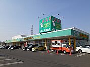 【ドラッグストア】ハシドラッグ北店まで300ｍ