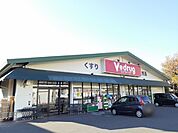【ドラッグストア】V・drug　江南北店まで550ｍ