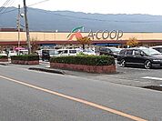 【スーパー】Aコープよしい店まで331ｍ
