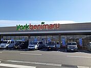 【スーパー】ヨークベニマル 針ヶ谷店まで800ｍ