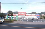 【ドラッグストア】ウェルネス大田中央店まで900ｍ