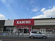 【スーパー】カスミライフガーデン茂原店まで400ｍ