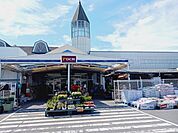 【ホームセンター】ＤＣＭ伊予店様まで1100ｍ