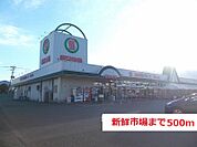 【スーパー】新鮮市場まで500ｍ