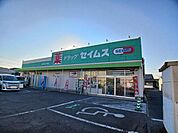 【ドラッグストア】セイムス　坂ノ市店まで1300ｍ