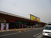 【スーパー】スーパーランドローム富津店まで950ｍ