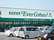 【スーパー】エバーグリーンプラス橿原膳夫店まで1300ｍ