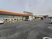 【スーパー】とりせん太田八幡町店まで1100ｍ