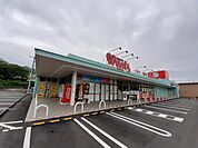 【ドラッグストア】ウォンツ保津店まで1400ｍ
