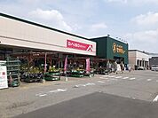 【ホームセンター】セキチュー前橋関根店まで450ｍ