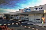 【ドラッグストア】ウエルシア本庄児玉南店まで1100ｍ