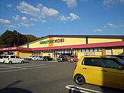 【ドラッグストア】ドラックストアモリ田島町店まで750ｍ