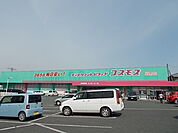 【ドラッグストア】コスモス　菊南店まで1500ｍ