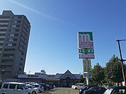 【スーパー】マルイチ材木町店まで800ｍ
