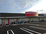 【ドラッグストア】ツルハドラッグ　燕小池店まで550ｍ