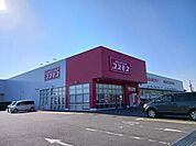 【ドラッグストア】コスモス望町店まで1000ｍ