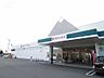 周辺：【スーパー】デイリーマート羽ノ浦店様まで2100ｍ