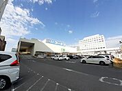【ホームセンター】コーナン高知駅前店まで1500ｍ