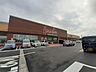 周辺：【スーパー】原信白根店まで2200ｍ