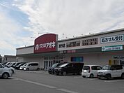 【ドラッグストア】クスリのアオキ西今店様まで930ｍ