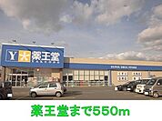 【ドラッグストア】薬王堂まで550ｍ