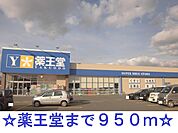【ドラッグストア】薬王堂まで950ｍ