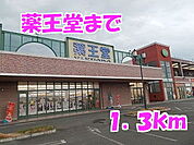 【ドラッグストア】薬王堂まで1300ｍ